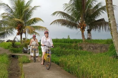Ubud : Kintamani Downhill Cycling Tour with Lunch - The Ride Setup: Time, Pace, and What “Downhill” Means