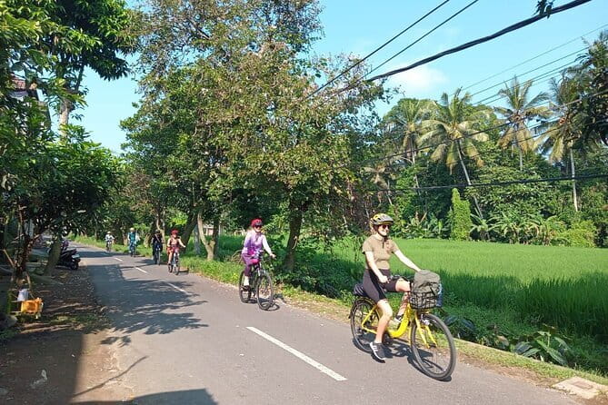 Ubud : Kintamani Downhill Cycling Tour with Lunch - Stop 2 at Pura Desa Malet Gusti: School, Temple, and Daily Life