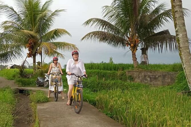 Ubud : Kintamani Downhill Cycling Tour with Lunch - The Ride Setup: Time, Pace, and What “Downhill” Means