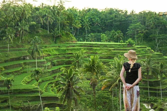 Ubud: Monkey Forest, Jungle Swing, Rice Terrace, and Water Temple - Why This Ubud Mix Works: Jungle, Rice, and Temple Stops in One Day