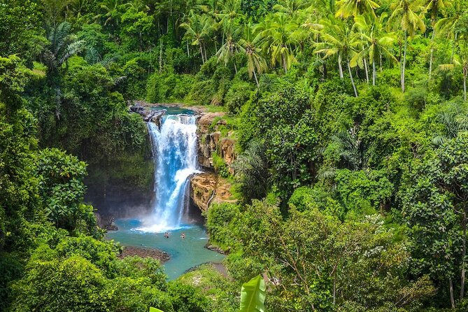 Ubud: Monkey Forest, Jungle Swing, Rice Terrace, and Water Temple - Celuk Village and Ubud Center Market: Silver Crafts and Small Finds