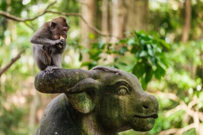 Ubud: Monkey Forest, Rice Terraces & Sacred Temples - Goa Gajah (Elephant Cave): a carved entrance with bathing pools