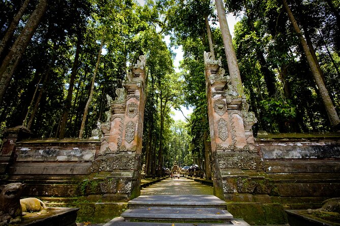 Ubud: Monkey Forest, Rice Terraces & Sacred Temples - Who should book this Ubud day tour
