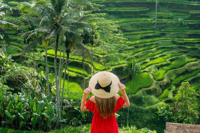 Ubud: Private Customized Highlights Tour - How this private Ubud tour actually feels