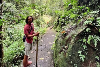 Ubud: Private Customized Highlights Tour - Half-day or full-day: choosing the right amount of Ubud