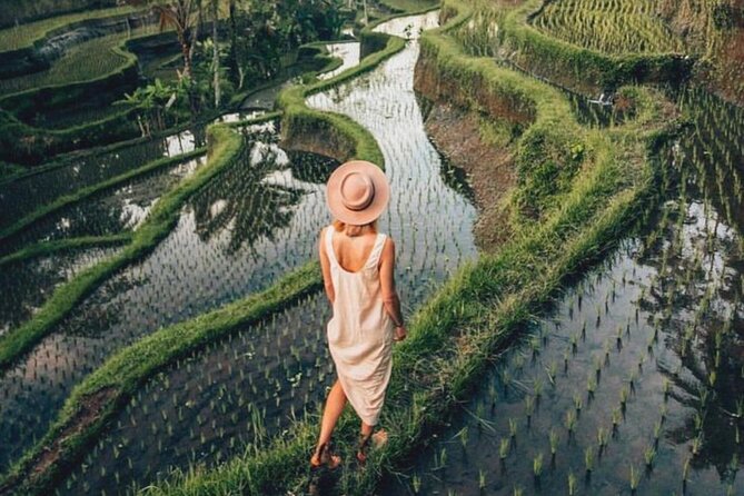 Ubud: Private Customized Highlights Tour - Tips to pick the best set of stops for your day