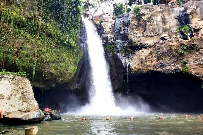 Ubud Private Tour : Best Of Ubud - Guided Tour - Stop 4: d’Alas Swing for a Jungle-View Break