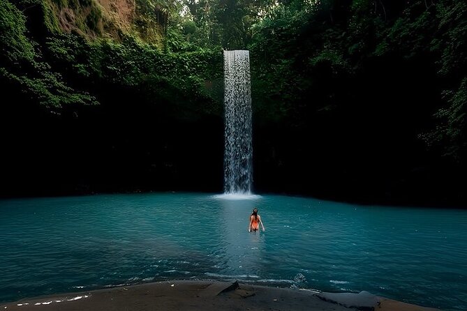 UBUD Private Tour – Rice Terrace, Jungle Swing & Hidden Waterfall - Price and value: what you really pay for at about $33.82