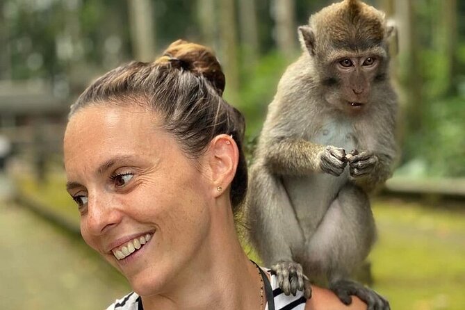 UBUD Private Tour – Rice Terrace, Jungle Swing & Hidden Waterfall - Stop 3: Taman Sari Waterfall and natural pool for a quieter break