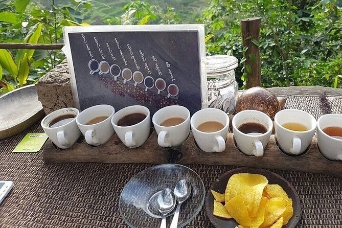 UBUD Private Tour – Rice Terrace, Jungle Swing & Hidden Waterfall - Stop 4: Tegalalang rice terraces and Ubud Jungle Swing over the valley