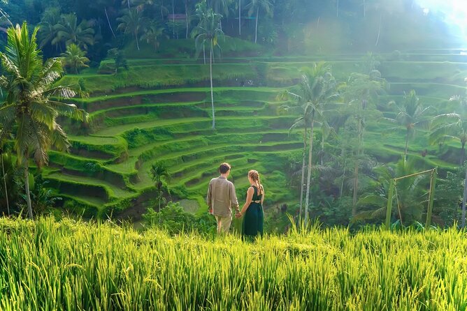 UBUD Private Tour – Rice Terrace, Jungle Swing & Hidden Waterfall - Private pickup and an air-conditioned ride that keeps the day smooth