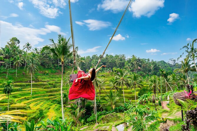 Ubud Private Tour: Waterfalls, Temple and Rice Terraces Swing - Key highlights you’ll care about
