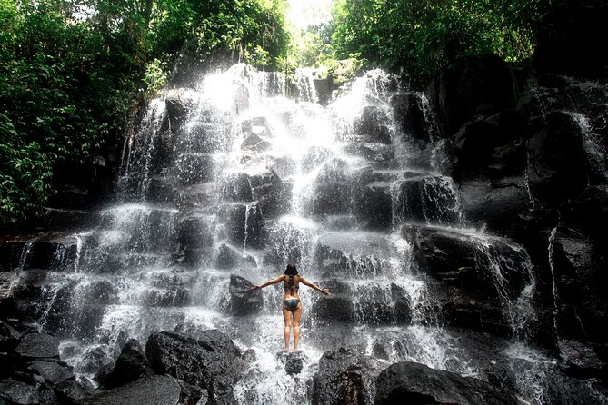 Ubud Private Tour: Waterfalls, Temple and Rice Terraces Swing - Lunch at D Alas Warung Restaurant: rice-terrace views and real choice