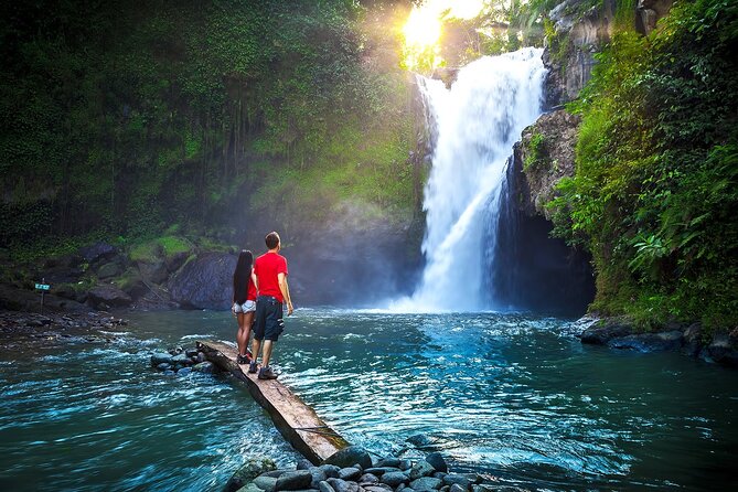 Ubud Private Tours with Jungle Swing Experience - all inclusive - Time, Pace, and Photo Reality (Plan Smart)