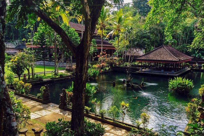 Ubud Top Attractions: Waterfalls, Temples and Rice Terraces - Lunch at DAlas Warung: food with a view (and why it’s part of the value)