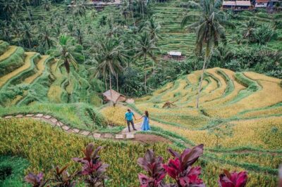 Ubud Tour - Best of Ubud - All Inclusive - Bali Traditional House Gung Aji: everyday life, not just a photo stop