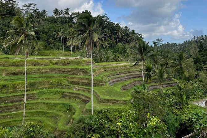 Ubud Tour - Highlight of Ubud - Traditional Tour - Price and What You’re Really Paying For