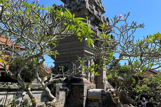 Ubud Tour - Highlight of Ubud - Traditional Tour - Stop 4: Tegalalang Rice Terrace for How Farming Shapes the View