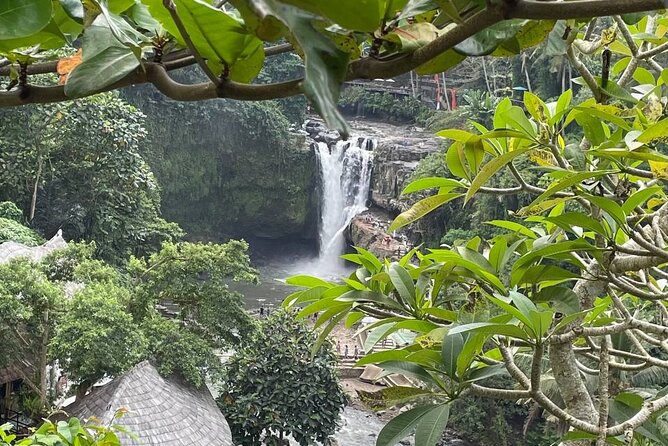 Ubud Tour - Highlight of Ubud - Traditional Tour - Stop 5: Tirta Empul Temple to Close the Cultural Circle