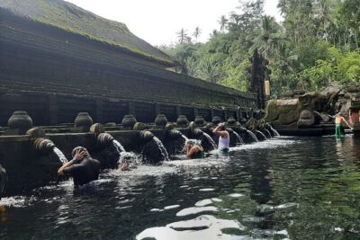 Ubud Tour - Highlights of Ubud - Price and What’s Actually Included for $100