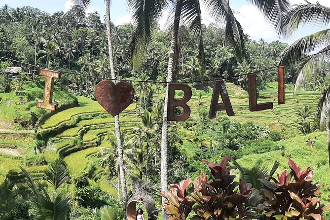 Ubud Tour - Highlights of Ubud - Tirta Empul’s Holy Springs: Purification at the Temple