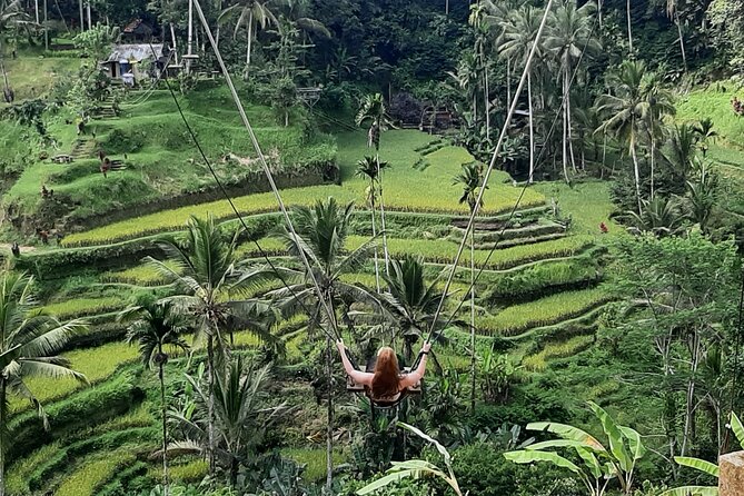 Ubud Tour - Highlights of Ubud - Tegalalang Rice Terrace: Swing-Ready Views and Photo Angles
