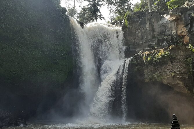 Ubud Tour - Highlights of Ubud - Lunch at D Alas Warung: Eat Between Rice and Jungle