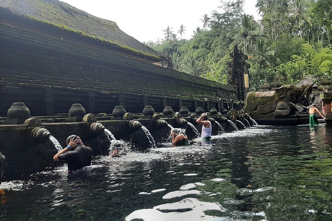 Ubud Tour - Highlights of Ubud - Price and What’s Actually Included for $100