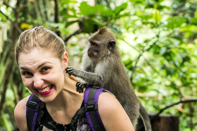Ubud Tour with Swing, Temple, Monkey Forest, and Waterfall - Why a private Ubud driver makes this tour feel easier