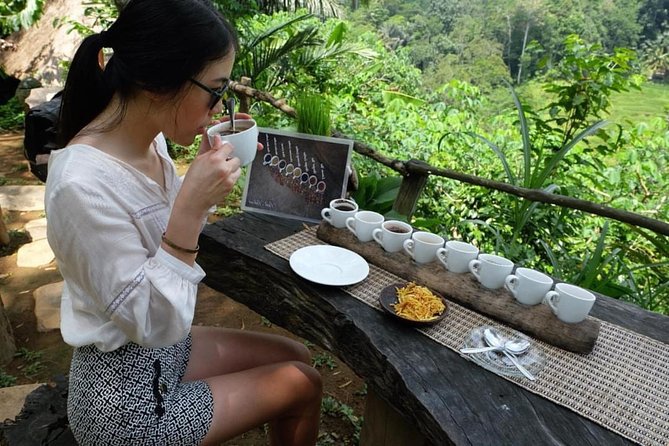 Ubud Tour with Swing, Temple, Monkey Forest, and Waterfall - Coffee/tea plus art villages: culture, crafts, and shopping breaks