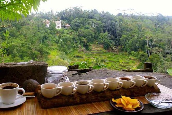 Ubud Trip, The Best of Ubud in a day - All Inclusive - Tirta Empul cleansing temple: how the visit works