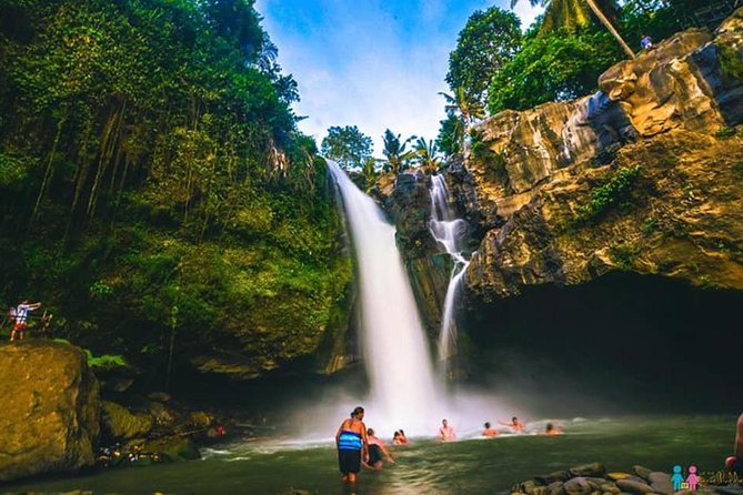 Ubud Trip, The Best of Ubud in a day - All Inclusive - The real star is the guide: Ketut, Katut, and Putu-style storytelling