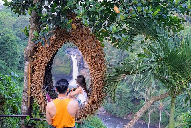 Ubud Trip, The Best of Ubud in a day - All Inclusive - AC pickup and time management around Ubud traffic