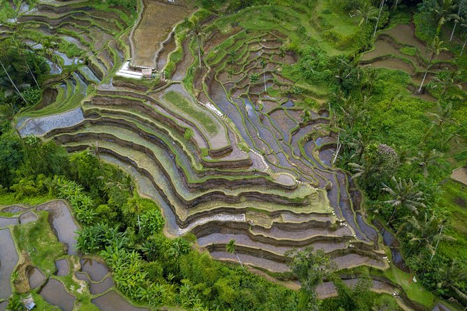 Ubud Volcano Lake and Natural Hot Spring Tour - What the Reviews Reveal About the Guides
