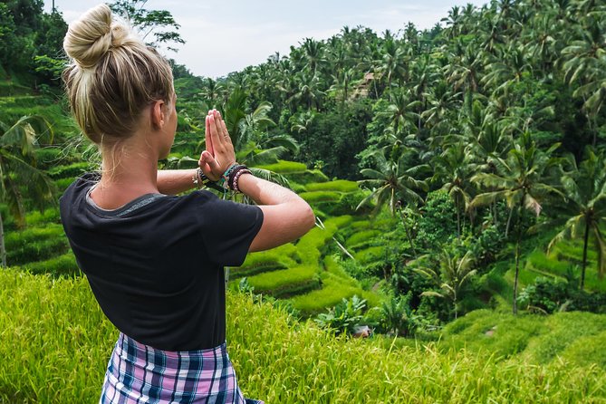 Ubud Volcano Lake and Natural Hot Spring Tour - Tegalalang Rice Terrace: Fast, Scenic, and Ticket-Ready