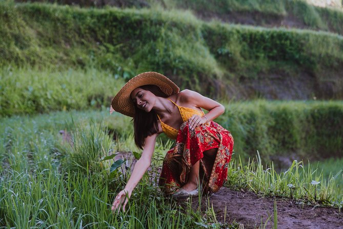 Ubud: Waterfall, Rice Terraces, and Monkey Forest Private Tour - Ubud Traditional Art Market: quick browsing with intention