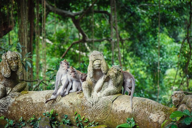 Ubud: Waterfall, Rice Terraces, and Monkey Forest Private Tour - Sacred Monkey Forest: watching long-tailed macaques up close