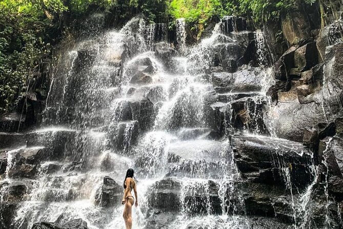 Ubud Waterfalls, Rice Terrace & Jungle Swing - Private Tour - A packed Ubud day that’s actually workable