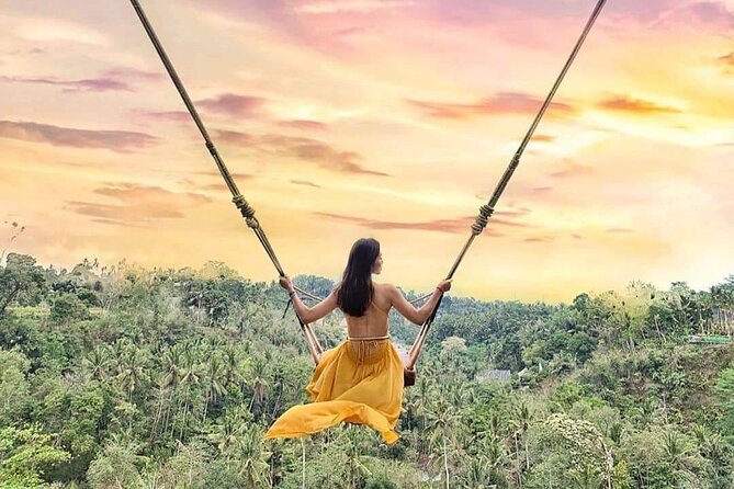 Ubud Waterfalls, Rice Terrace & Jungle Swing - Private Tour - Jungle Swing over the paddies: worth the extra cost