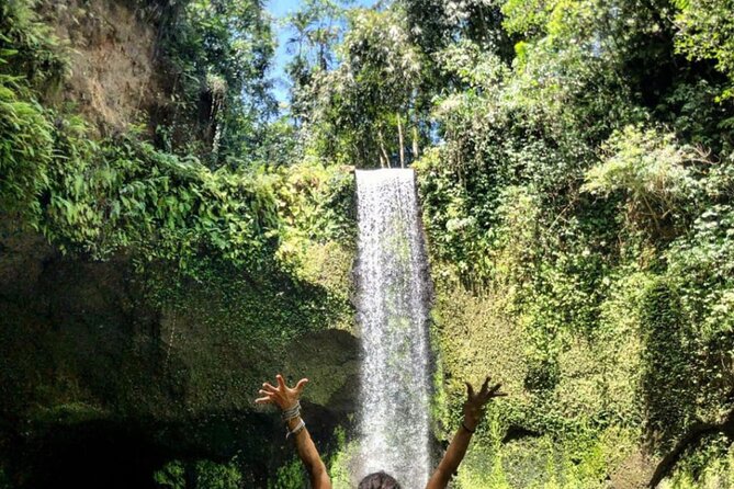 Ubud Waterfalls, Rice Terrace & Jungle Swing - Private Tour - Price and value: what $23.38 really buys you