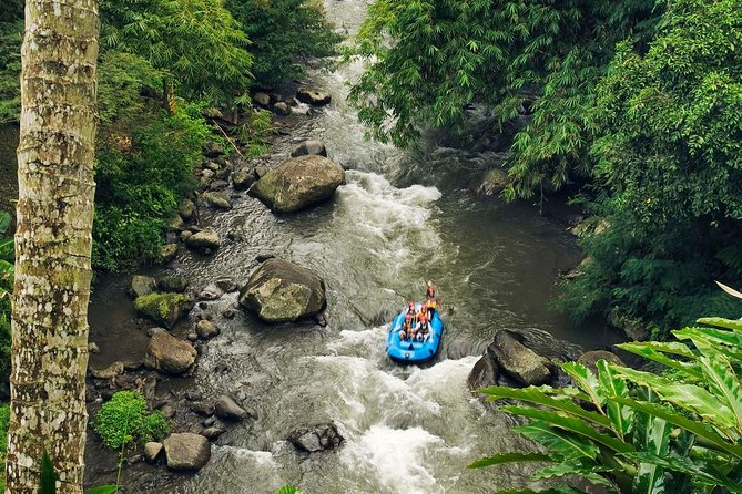 Ubud White Water Rafting with Waterfall and Lunch - The included package: pickup, gear, locker, and buffet lunch