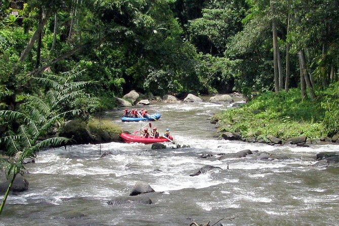 Ubud White Water Rafting with Waterfall and Lunch - Stairs, timing, and weather: the two practical realities