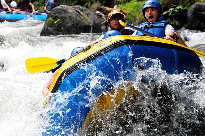 Ubud White Water Rafting with Waterfall and Lunch - Safety and guides: why the day feels confident
