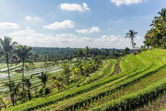 West Bali Tour: Taman Ayun, Ulun Danu Beratan, Jatiluwih Rice Terrace, Tanah Lot - Jatiluwih Rice Terraces: Slow Walking With Big Payoff