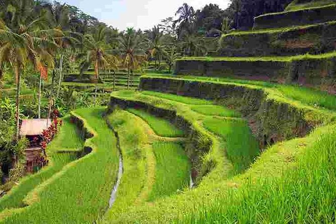 Wonderful Of Ubud Tours - Craft Villages in Mas, Celuk, and Batubulan