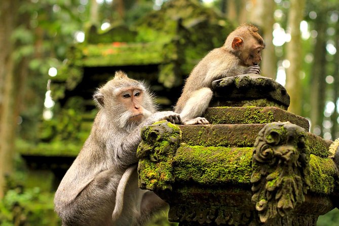 Wonderful Of Ubud Tours - Tegenungan Waterfall Time: Your Best 2 Hours