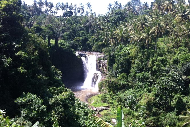 Wonderful Of Ubud Tours - Price and Value for a $33 Ubud Day